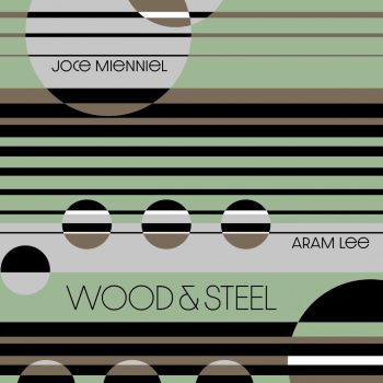 Joce Mienniel - Aram Lee - Wood & Steel