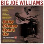 Big Joe Williams - Baby Please Don't Go - The Collection 1935-62 - 5CD